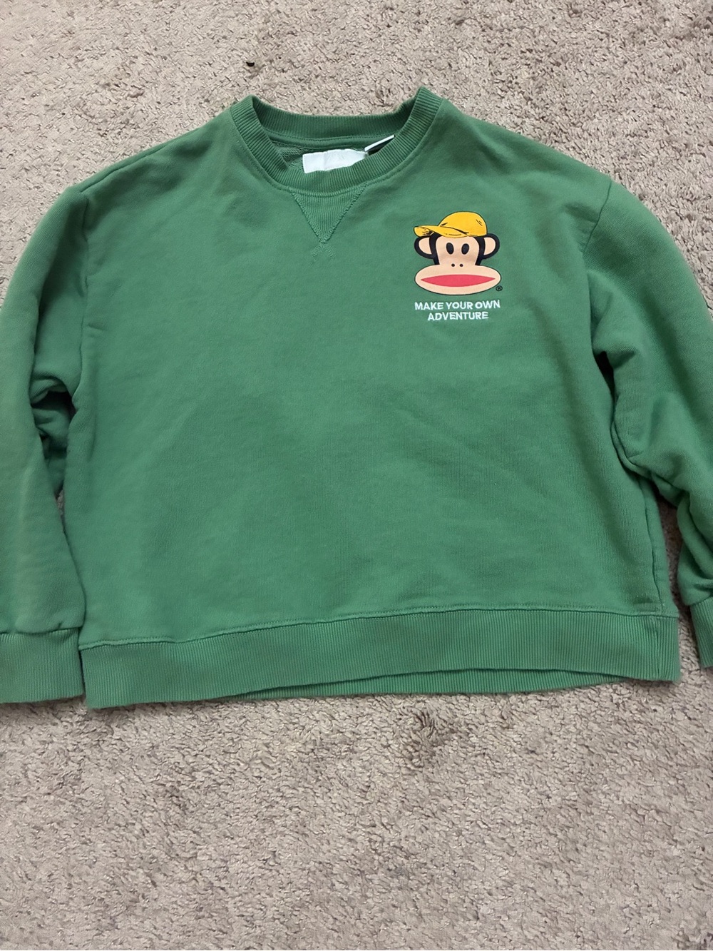 Zara Green Kids Sweatshirt with Monkey Graphic and Yellow Cap
